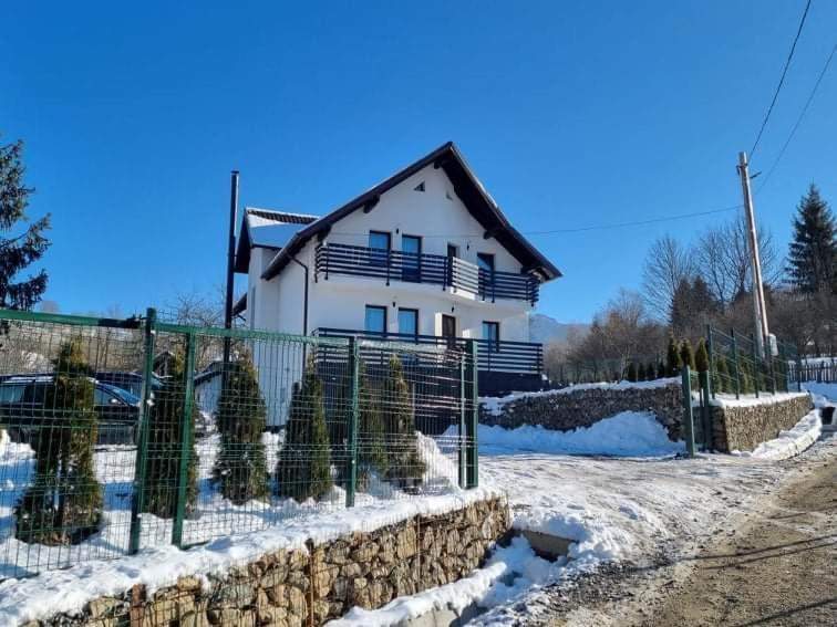 Transylvania House Borşa 外观 照片